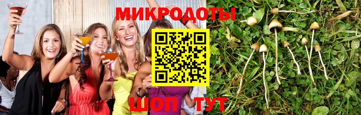 Псилоцибиновые грибы Cubensis Сертолово