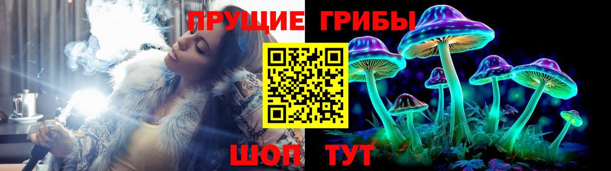 Галлюциногенные грибы Psilocybe  купить   Вход с VPN  Сертолово  Галлюциногенные грибы мицелий 